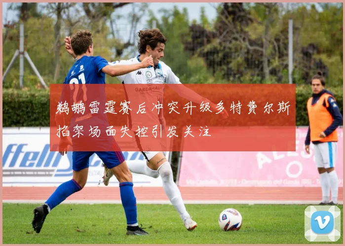 鹈鹕雷霆赛后冲突升级多特费尔斯掐架场面失控引发关注