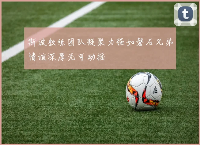 斯波教练团队凝聚力强如磐石兄弟情谊深厚无可动摇