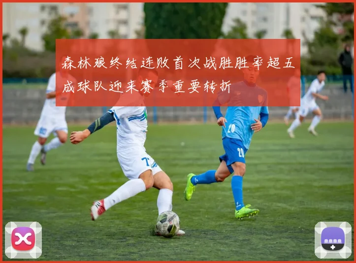 森林狼终结连败首次战胜胜率超五成球队迎来赛季重要转折