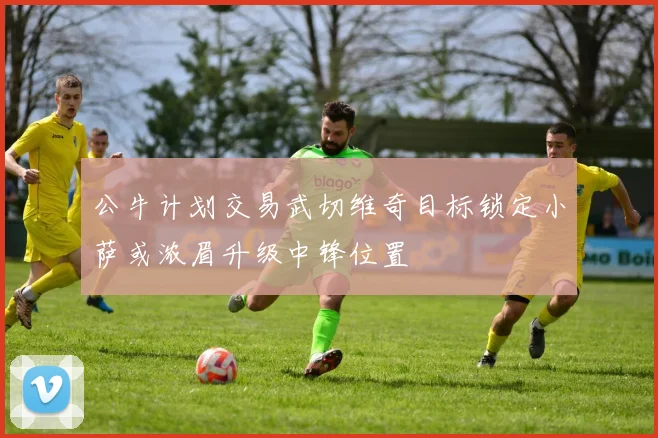 公牛计划交易武切维奇目标锁定小萨或浓眉升级中锋位置