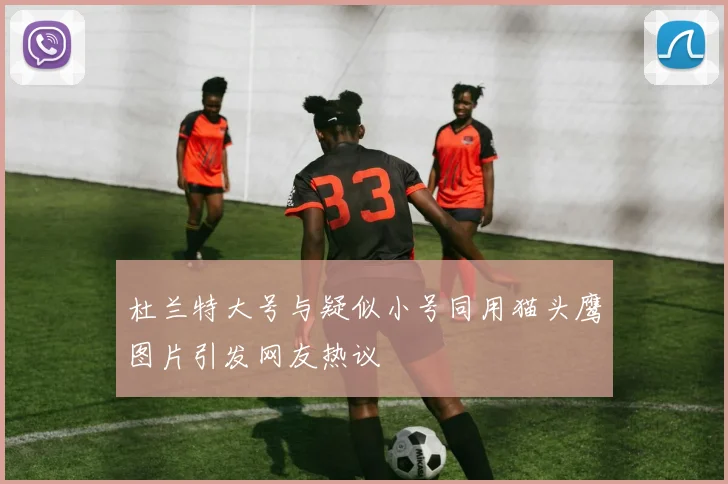 杜兰特大号与疑似小号同用猫头鹰图片引发网友热议