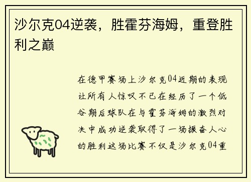 沙尔克04逆袭，胜霍芬海姆，重登胜利之巅