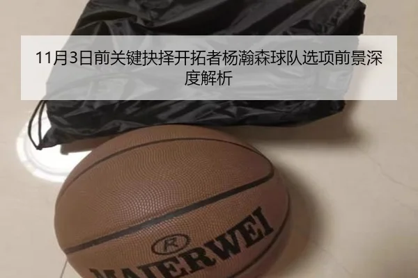 11月3日前关键抉择开拓者杨瀚森球队选项前景深度解析 | hth